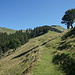 Der weitere Wegverlauf zum Plättlispitz ist zu erahnen: Etwa in der Bildmitte hinauf, erst über die Wiese, dann durch Wald und später über den Grat.