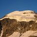 Gipfelgletscher des Piz Morteratsch in der Morgensonne