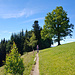 Wandern am Bachtel