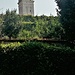 Il campanile di San Pietro dal Giardino delle Vergini.