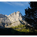 Spritzkargebäckspitze