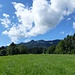 Über freie Wiesen geht es in' s Schwarzenbachtal