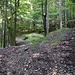 Am Kohlberg. Willkommen im Labyrinth der Karrenwege! Die folgenden Abbildungen zeigen nur eine kleine, willkürliche Auswahl.