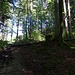 Karrenweg--Impressionen IV