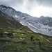 Auf gehts am Abend zur Payer Hütte