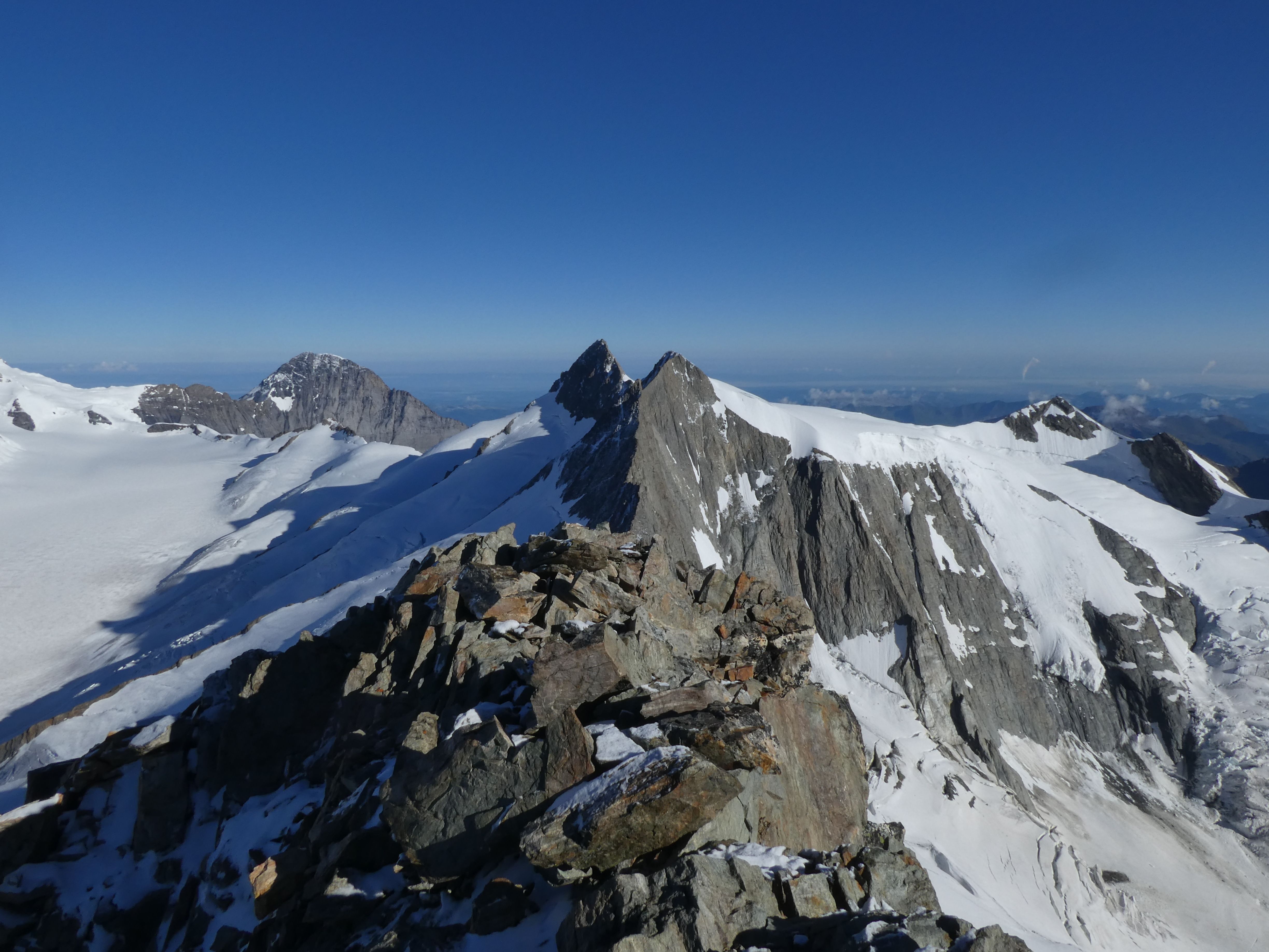 Blick vom Gipfel über die Fiescherhörner Fotos