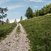 Weg bis zur mittleren Haseneck Alpe