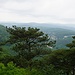 Aussicht vom Parapluiberg