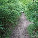 im Wienerwald
