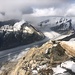 Der Aletschgletscher vom Gipfel