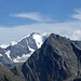 Bernina e Roseg