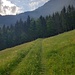 Auf der Höhe von Rütlers Plangg zweigt der Weg nach links ab in Richtung Ronenboden