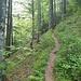Ich wählte den oberen Weg zur Bärenplangg und zum Ronenboden