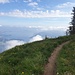 sobald man über der Waldgrenze ist, hat man eine wunderbare Aussicht auf das Tiefland (hier der Zugersee)