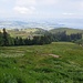 wieder auf dem Rückweg zur Seebodenalp