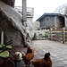 Hühnerhaufen hinter der Hütte