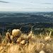 Aussicht ins Allgäuer Hügelland