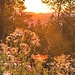 Sonnenuntergang