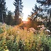 Sonnenuntergang