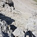 Blick runter zum kurzen IIer Aufschwung.
