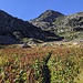 Alpe Camino