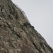Abstieg von der Konkordiahütte über die 433 luftigen Stufen.