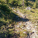 Besagter Weg zur Jagdhütte Roter Stein Alpe
