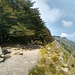 Monte Zatta di Ponente e inizio del sentiero in cresta. Il versante nord è faggeta, il versante sud precipita selvaggio con ampi prati e balze rocciose