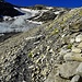 Auf 2550m, Gältegletscher 