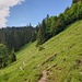 auf dem Weg unterhalb dem Kleinen Aubrig entlang