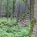 Býv. hájovna Certův mlejn (Forsthaus Obergraupen), Ruine