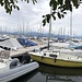 Hafen von Tolochenaz