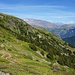 Oberhalb der Waldgrenze offenbart sich ein schöner Ausblick