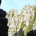 Sguardo verso il Torrione della Grotta dalla sosta dopo il primo tiro della Via Bramani
