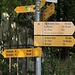 zwei unterschiedliche Wege führen weiter nach St-Prex