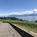 Blick hinunter zum Schwemmkegel der Aubonne