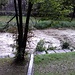 Fiume Sementina (a Sementina) in piena