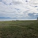 Steppe in der Nähe von St-Sulpice