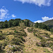 Schöne Naturlandschaft