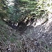 Tisner Grenztobel