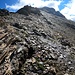 <b>Inaspettatamente, a 2650 m di quota, dal nulla nasce un sentiero, che mi agevola il resto della salita fino alla bocchetta a circa 2690 m.</b>