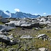 Wollgras mit Wollbachspitze