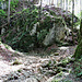 Y-Vergabelung bei den Schluchten wo man am Eingang auch mehrere kleine Grotten findet. 