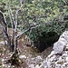 Im Aufstieg auf die Randflue