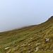 Verso la cresta sempre su prato