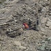 Dalla cima,una spiata all'anticima