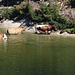...zahlreiche Kühe weiden, die sogar das Wasser des Sees queren...