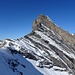 Rinderhorn gesehen kurz vor Erreichen des Zackengrats