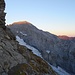 Wellhorn