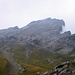 Blick zurück zum Hengst